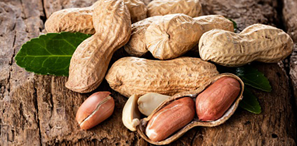 Australischen Forschern gelang es, Kinder mit einer Erdnussallergie von ihren Beschwerden zu heilen.