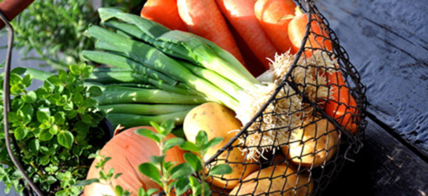 Trotz Nahrungsüberfluss: Kindern und Jugendlichen fehlen oft Mikro-Nährstoffe 