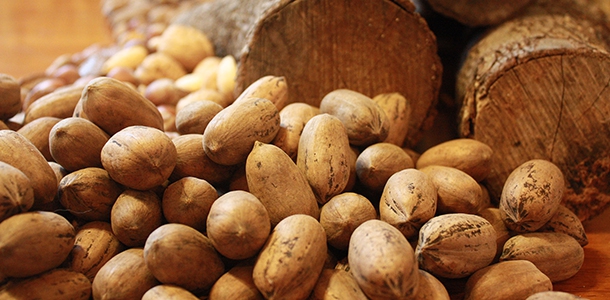 Neue Bedarfswerte für Zink und Vitamin B6